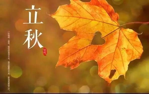 夏未盡，秋已至